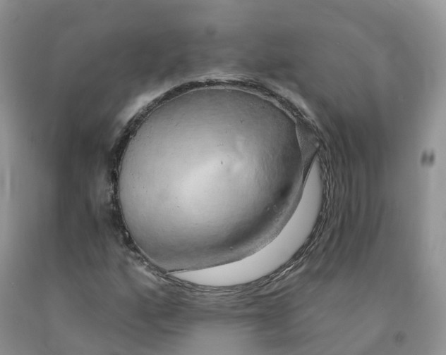 X0000091331160200709071151