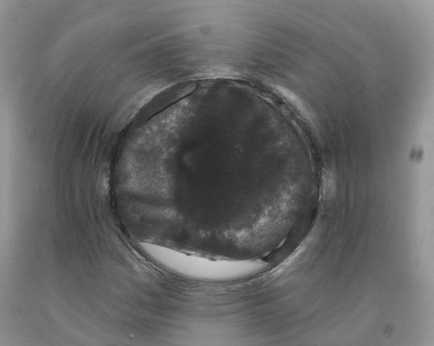 X0000091331161200709071151
