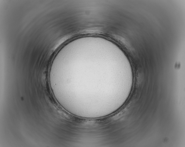 X0000091331162200709071151