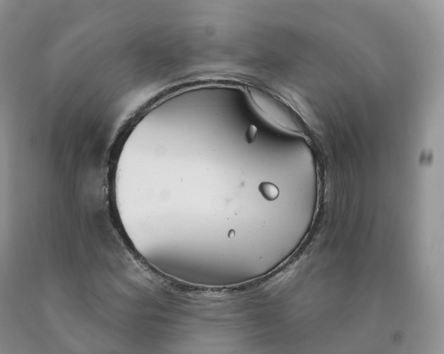 X0000091331164200709071150