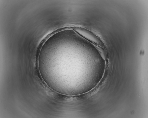 X0000091331165200709071150