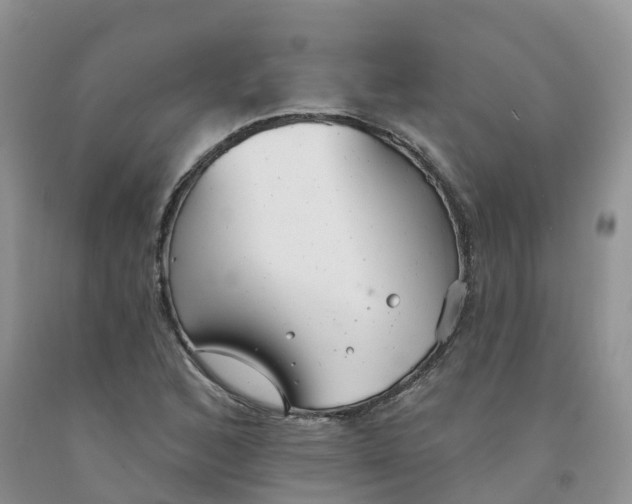 X0000091331168200709071150