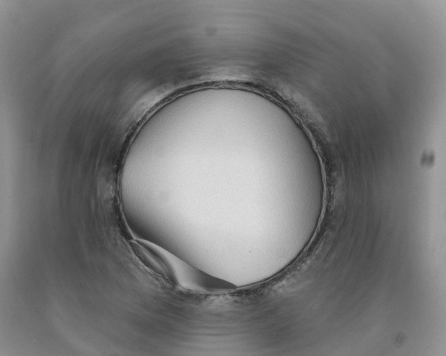 X0000091331169200709071150