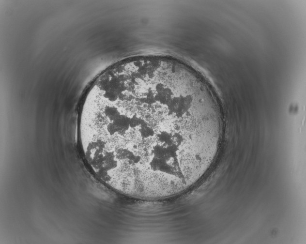 X0000091331171200709071150