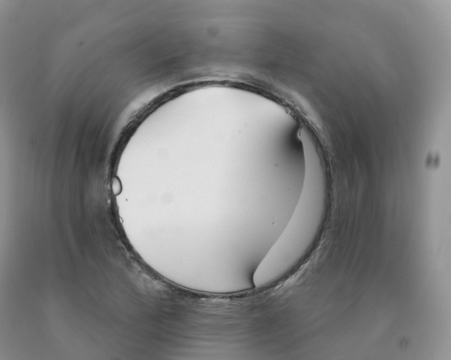 X0000091331172200709071150
