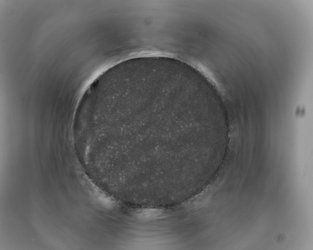 X0000091331173200709071150
