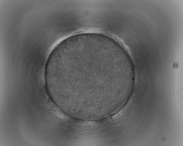 X0000091331174200709071150