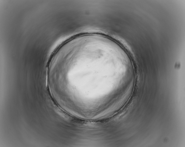 X0000091331175200709071150