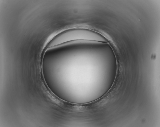 X0000091331176200709071150