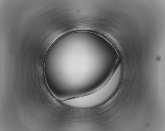 X0000091331177200709071150