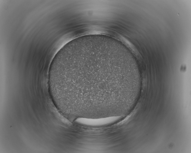 X0000091331178200709071150