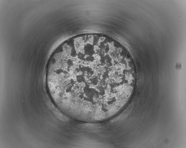 X0000091331179200709071150