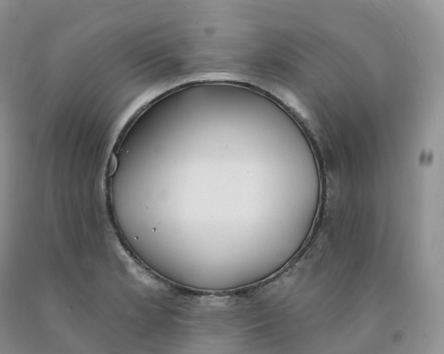 X0000091331181200709071150