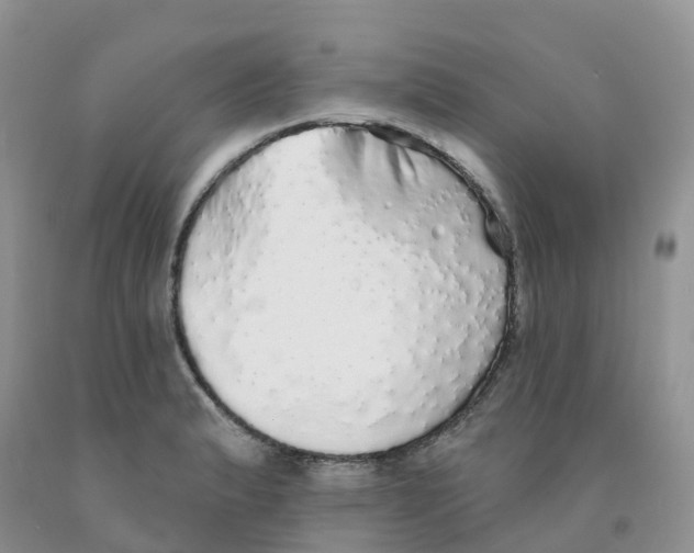 X0000091331183200709071150