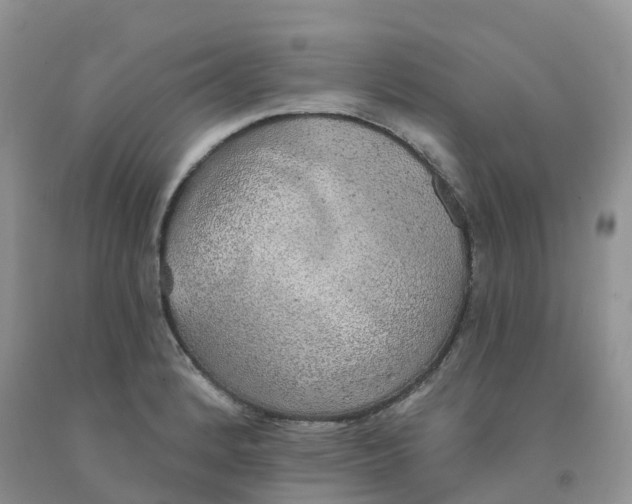 X0000091331184200709071150