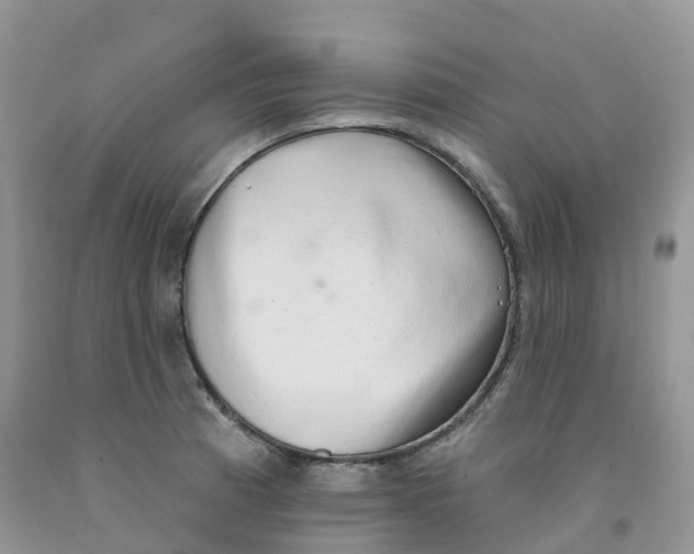 X0000091331185200709071150