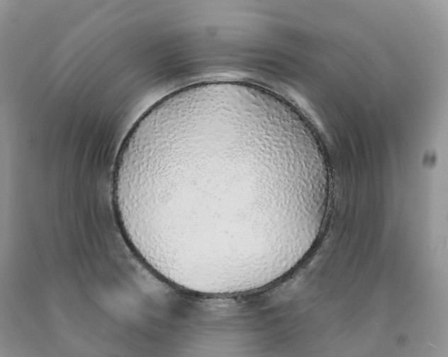 X0000091331186200709071150