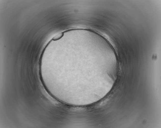 X0000091331187200709071150
