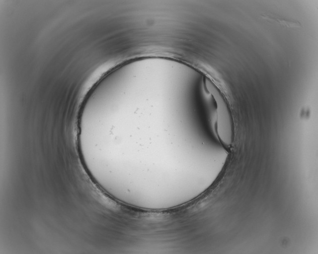 X0000091331188200709071150