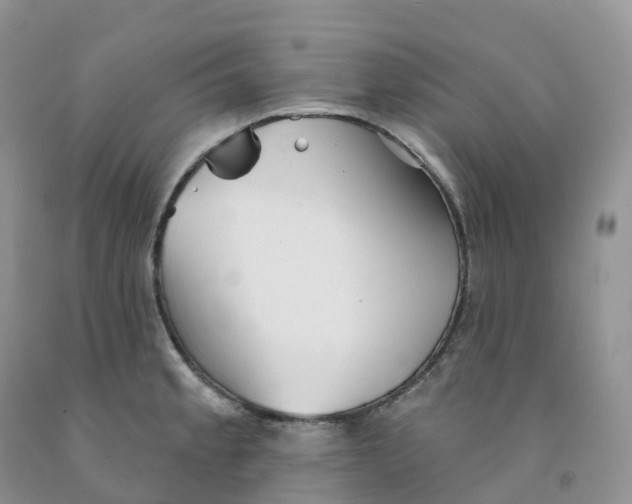 X0000091331189200709071150