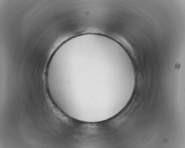 X0000091331190200709071150