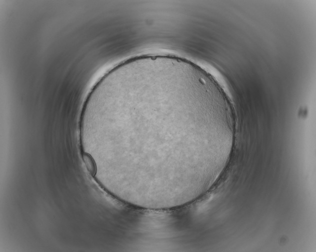 X0000091331191200709071150