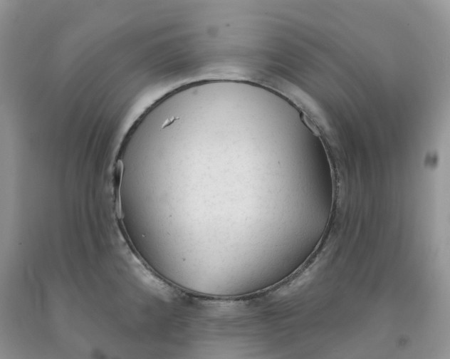 X0000091331192200709071150