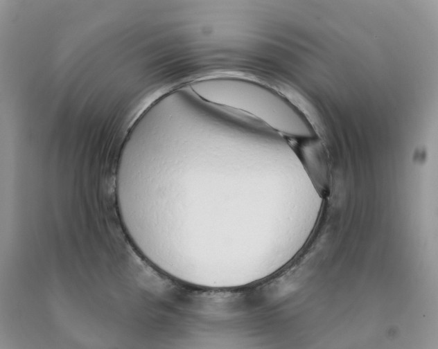 X0000091331193200709071150