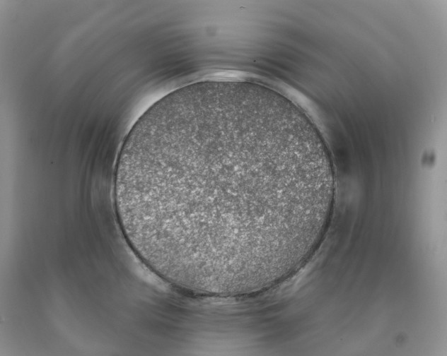 X0000091331194200709071150