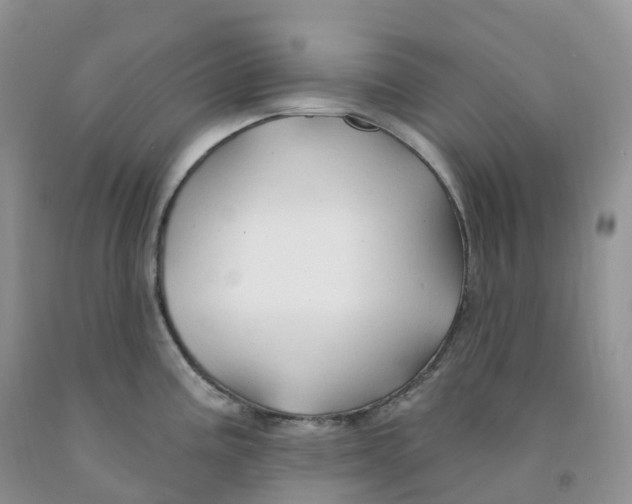 X0000091331195200709071150