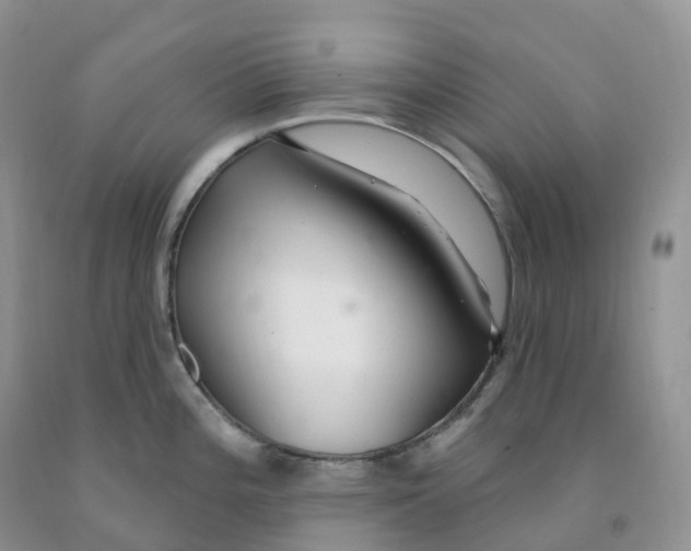 X0000091331196200709071150