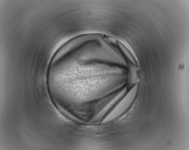 X0000091331197200709071150