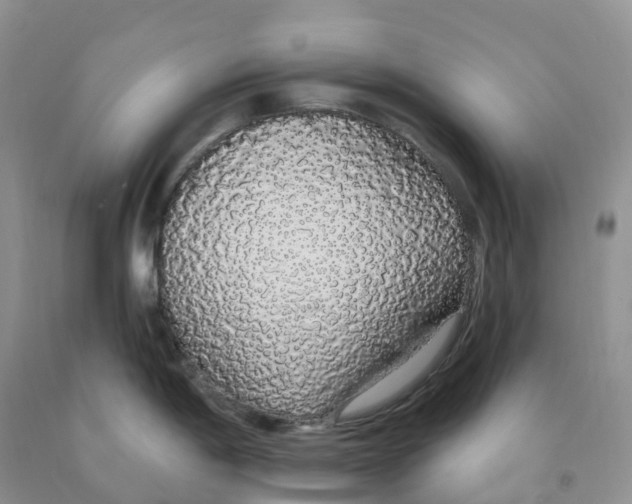 X0000091331198200709071150