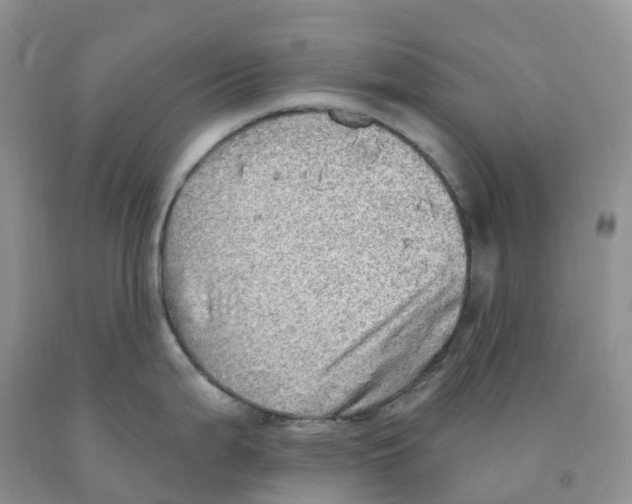 X0000091331199200709071150