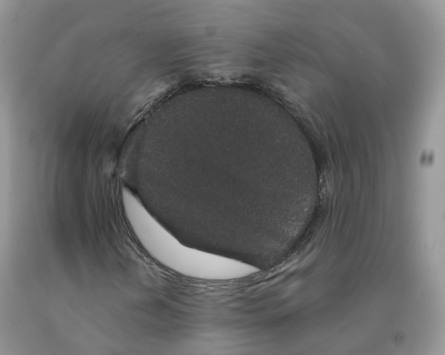 X0000091331202200709071149