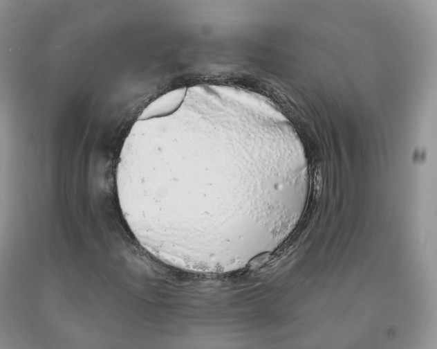 X0000091331204200709071149