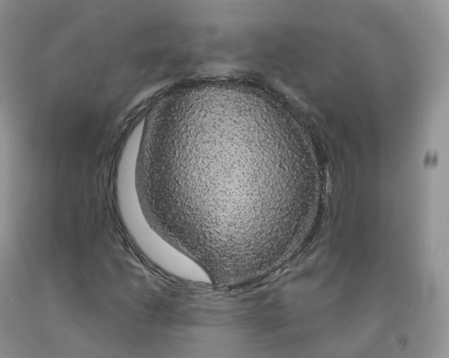 X0000091331206200709071150