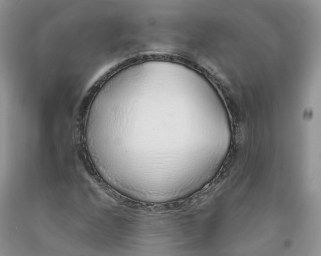 X0000091331208200709071150
