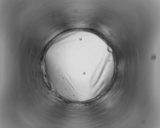 X0000091331209200709071150