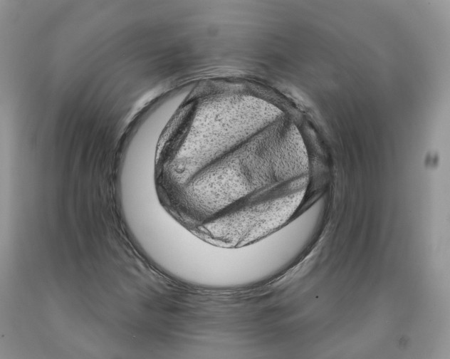 X0000091331210200709071150