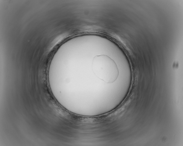 X0000091331211200709071150