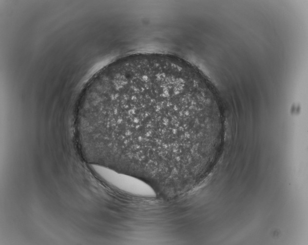 X0000091331213200709071150