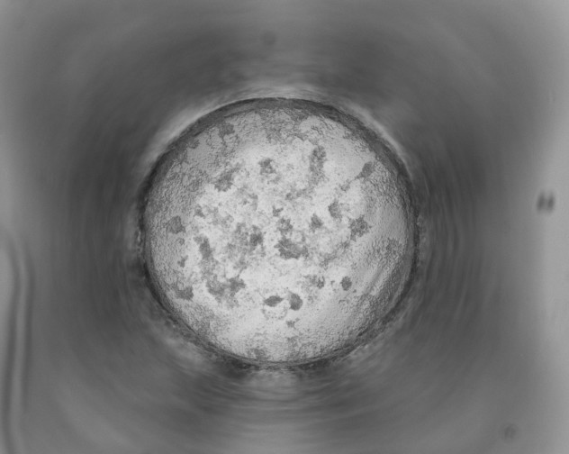 X0000091331215200709071150