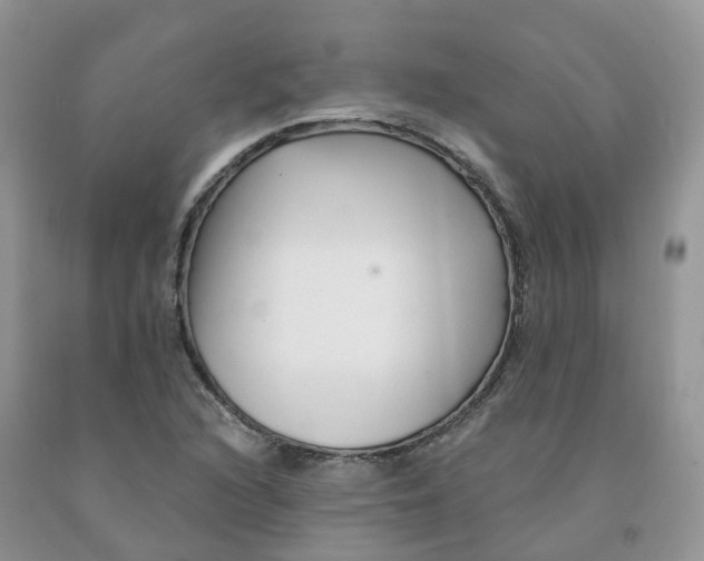 X0000091331216200709071150