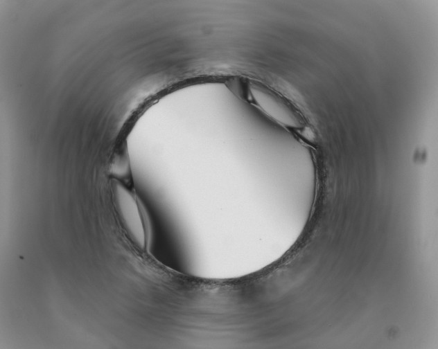 X0000091331218200709071150