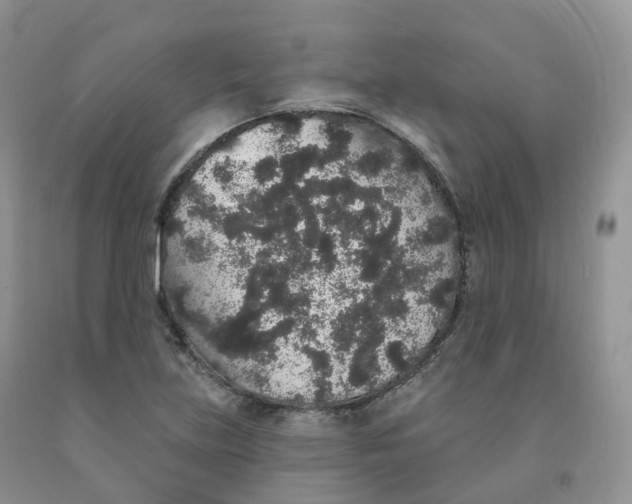 X0000091331219200709071150