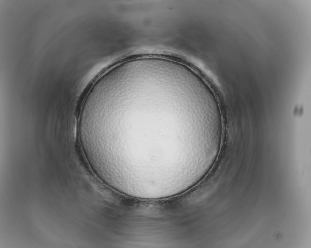 X0000091331221200709071150