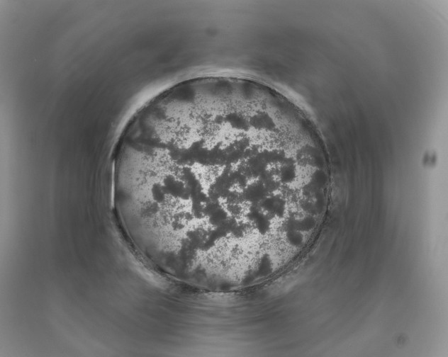 X0000091331223200709071150