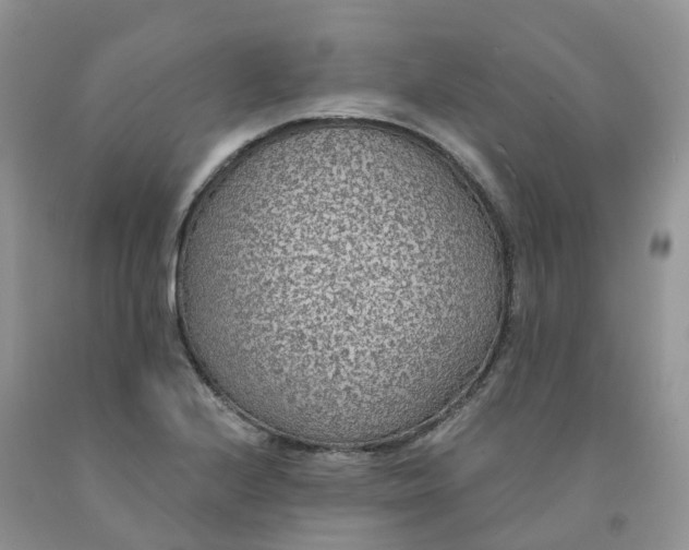 X0000091331224200709071150