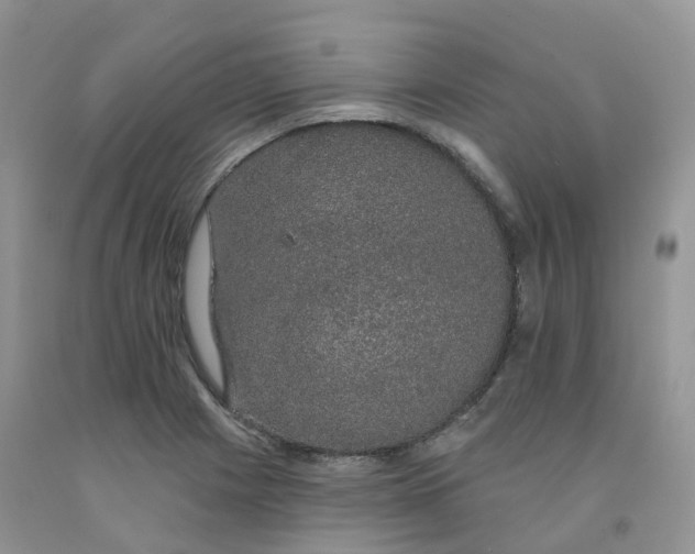 X0000091331225200709071150
